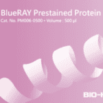 BlueRAY Prestained Protein Ladder SIZE: 500 μl