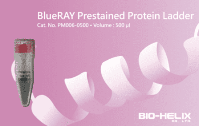 BlueRAY Prestained Protein Ladder SIZE: 500 μl