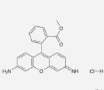 Rhodamine methylester hydrochloride, 95%