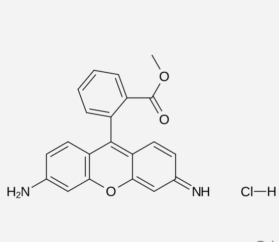 Rhodamine methylester hydrochloride, 95%