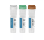 FIREScript® RT cDNA synthesis MIX 500 rxn