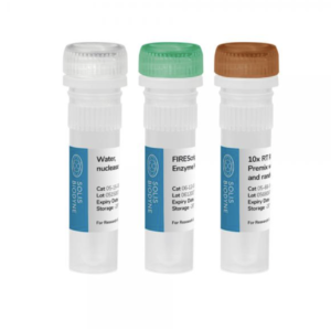FIREScript® RT cDNA synthesis MIX 500 rxn