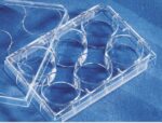 Costar® 6-well Clear TC-treated Multiple Well Plates, Bulk Packed, Sterile