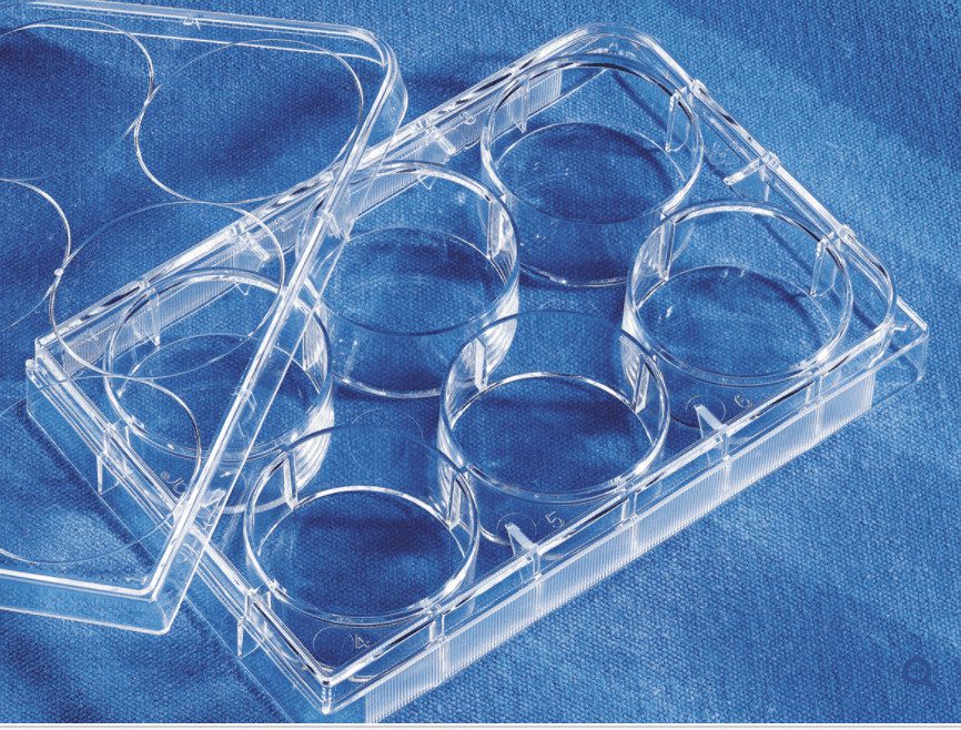 Costar® 6 Well Clear Tc Treated Multiple Well Plates Bulk Packed Sterile Algenome Shop