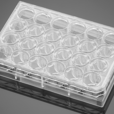 Corning® BioCoat™ Matrigel® Invasion Chambers with 8.0 µm PET Membrane in two 24-well Plates, 12/Pack, 24/Case