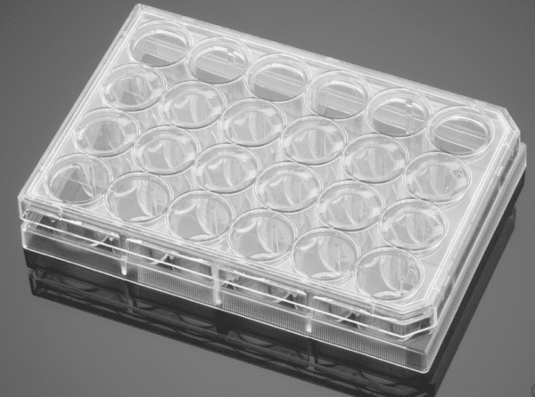 Corning® BioCoat™ Matrigel® Invasion Chambers with 8.0 µm PET Membrane in two 24-well Plates, 12/Pack, 24/Case