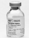 Corning® Matrigel® Matrix for Organoid Culture, Phenol Red-free, LDEV-free, 10 mL