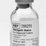 Corning® Matrigel® Matrix for Organoid Culture, Phenol Red-free, LDEV-free, 10 mL