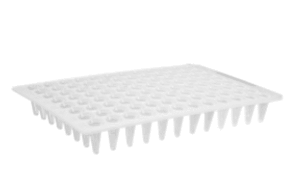 Axygen® 96-well Polypropylene Flat Top PCR Microplate, Low Profile, No Skirt, White, Nonsterile