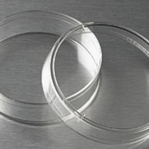Corning® 60 mm TC-treated Culture Dish