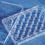 Costar® 24-well Clear TC-treated Multiple Well Plates, Bulk Pack, Sterile