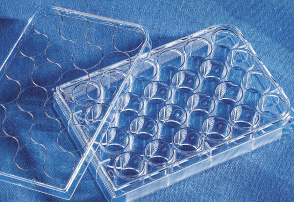 Costar® 24-well Clear TC-treated Multiple Well Plates, Bulk Pack, Sterile