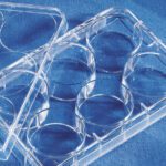 Costar® 6-well Clear Flat Bottom Ultra-Low Attachment Multiple Well Plates, Individually Wrapped, Sterile