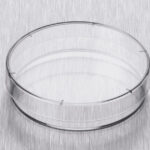Corning® Gosselin™ Petri Dish 60 x 15 mm, 6 Vents, Sterile, Double Outer Bag, 15/Bag, 1620/Case