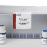 RNA-spin™ Total RNA Extraction Kit 50 col.