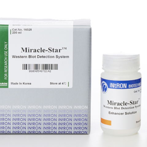 Miracle-Star™ Western Blot Detection System 200ml