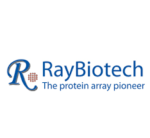 Rabbit Anti-Human S adenosylhomocysteine hydrolase (ACHY) (C-term)