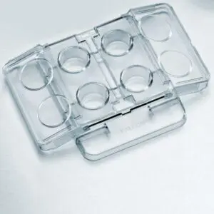 Falcon® 4-well TC-treated in vitro Fertilization (IVF) Plate