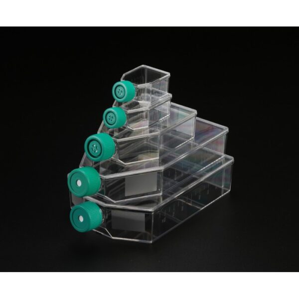 SPL T25 Cell Culture Flask, Growth Area ( 25cm2),Filter vent treated, sterile, 200/case.