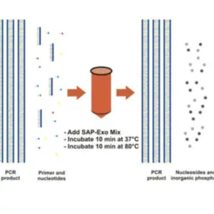 SAP-Exo Kit