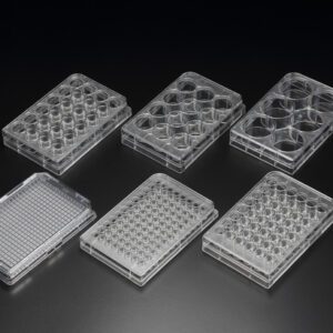 SPL Cell Culture Plate, PS, 384 well, 85.4x127.6mm, Flat Bottom, TC treated, Sterile