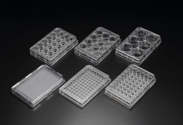 SPL Cell Culture Plate, PS, 6 well, 85.4x127.6mm, Flat Bottom, TC treated, Sterile