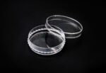 SPL IVF Culture Dish, 60x15mm, PS, TC treated, sterile to SAL 10-6