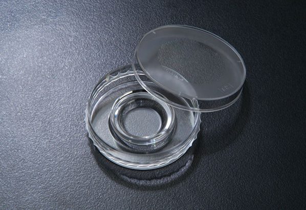 SPL IVF Culture Dish, 60x15mm, Internal 20mm, PS, TC treated, sterile to SAL 10-6