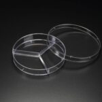 SPL Partition Petri Dish, 90x15mm, Sterile to SAL 10-6