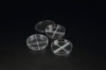 SPL Quad Petri Dish, 90x15mm, Sterile to SAL 10-6