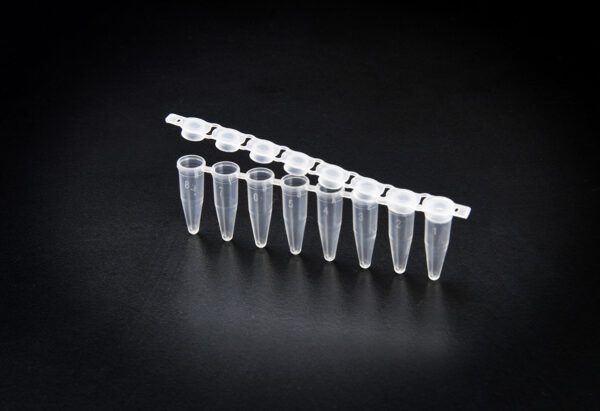 SPL PCR Tubes, PP, Flat Cap, Strip Tube, 0.2ml