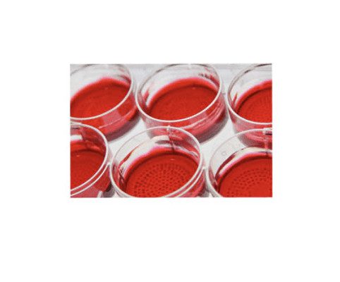 Neutral Red 0.33%, 500 mL