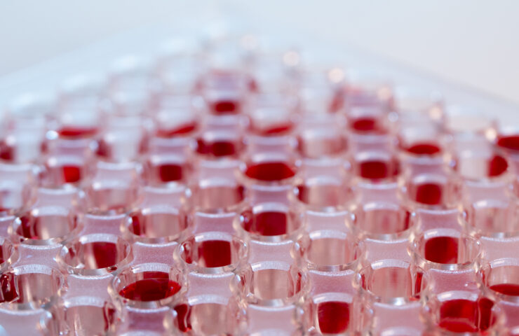 horizontal-science-banner-with-glass-containers