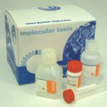 Gram Stain Kit, 100ml