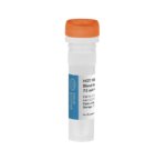 Hot-start PCR master mix for more demanding PCR assays, 1 ml | 250 rxn