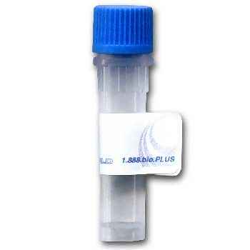 Super Zymolyase, liquid, 1 mL - 2 x 0.5 mL