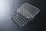 SPL Square Dish, PS, 126.4x126.4x20mm, Growth Area139㎠, TC treated, Sterile