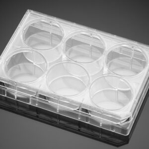 Falcon® 6-well Clear Flat Bottom Not Treated Cell Multiwell Culture Plate, with Lid, Sterile, 1/Pack,50/Case