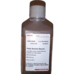 FETAL BOVINE SERUM HEAT INACTIVATED 500ML