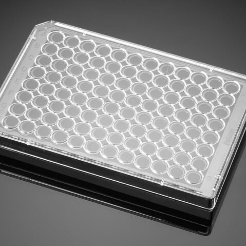 Corning® BioCoat® Collagen I 96-well Black/Clear Flat Bottom TC-treated Microplate, with Lid, 5/Pack, 50/Case