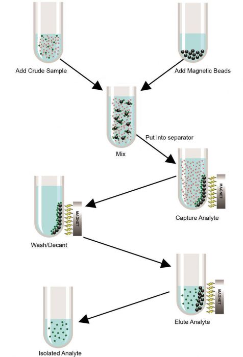 DNA Magnetic Purification Kit