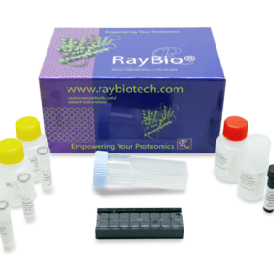 Human Cytokine Array Q4000,8 Sample Kit
