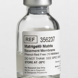 Corning® Matrigel® Basement Membrane Matrix, Phenol Red-free, LDEV-free, 10 mL