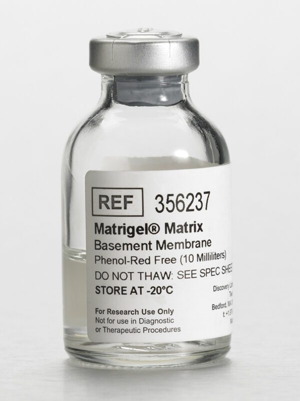 Corning® Matrigel® Basement Membrane Matrix, Phenol Red-free, LDEV-free, 10 mL