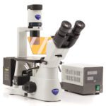 Inverted trinocular HBO fluorescence microscope, 400x, IOS F, B & G