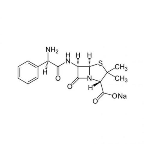 Ampicillin Sodium Salt, 25g