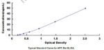 APP elisa kit :: Rat Amyloid Precursor Protein (APP) ELISA Kit, 96-Strip-Wells