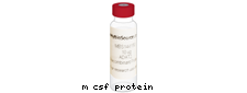 M-CSF protein, 0.01 mg