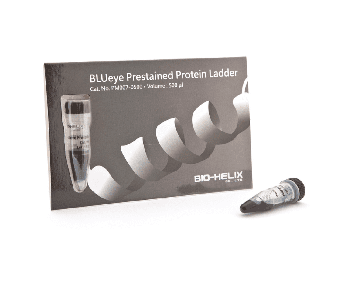 Blu12 Prestained Protein Ladder / BLUeye Prestained Protein Ladder（11 ...