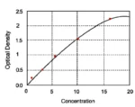 P-tau217 elisa kit :: Human Phospho-Tau (Thr217), P-tau217 ELISA Kit 5X 96-Strip-Wells